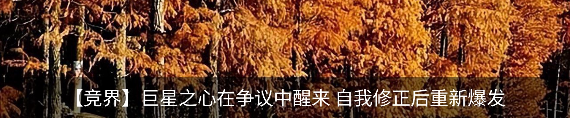 行业资讯