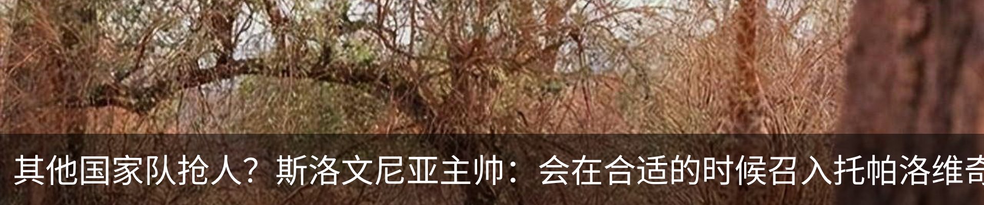 行业资讯