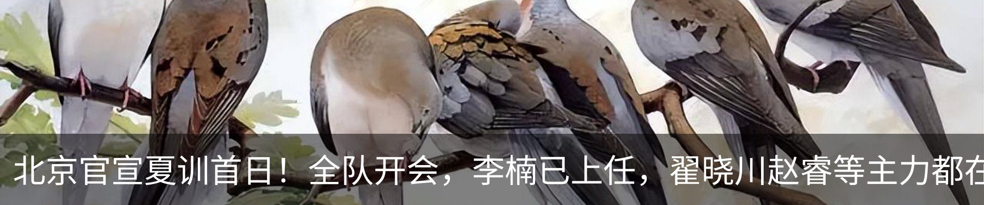 行业资讯