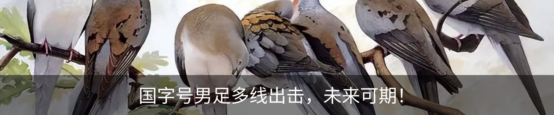 行业资讯