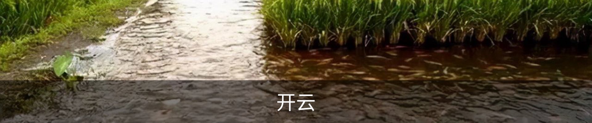 开云