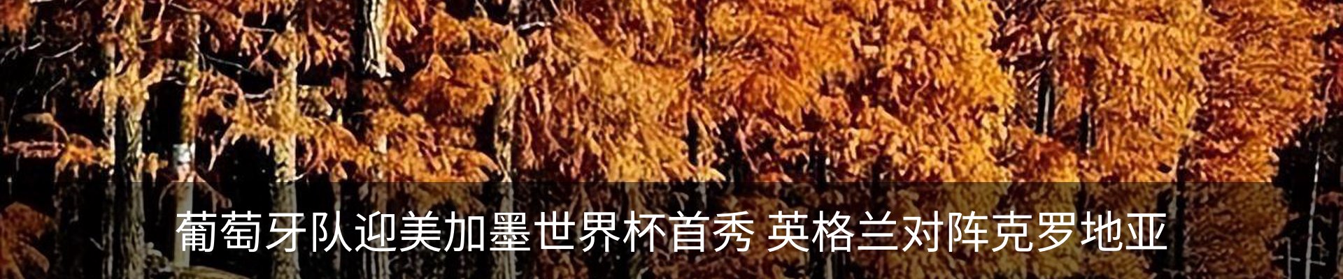 行业资讯