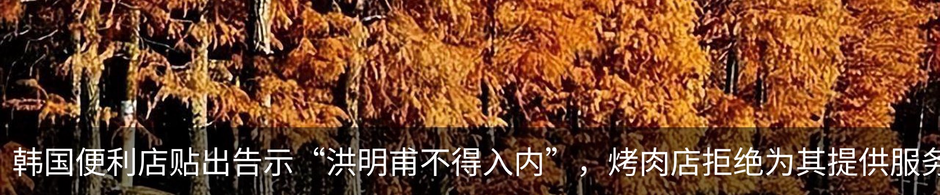 行业资讯