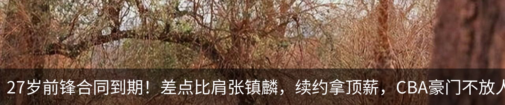 行业资讯