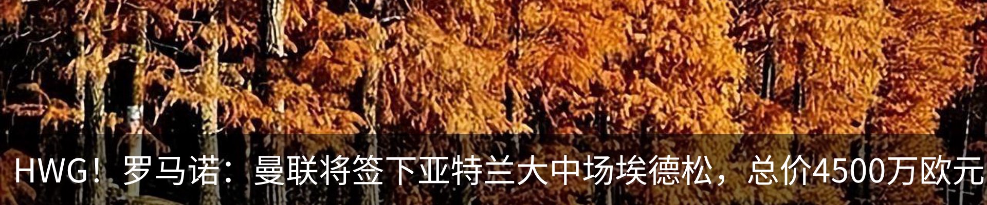 行业资讯